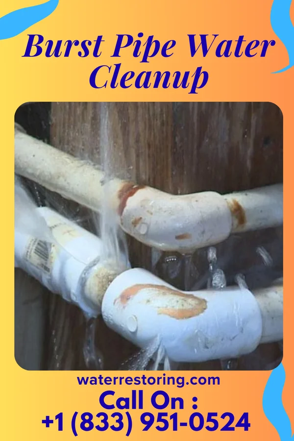 Burst Pipe Water Cleanup in South Valley Stream, NY