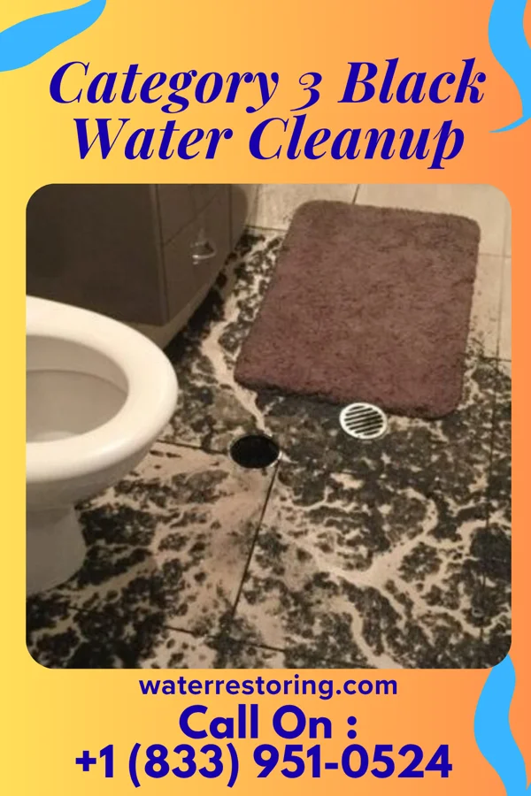 Category 3 Black Water Cleanup in South Valley Stream, NY