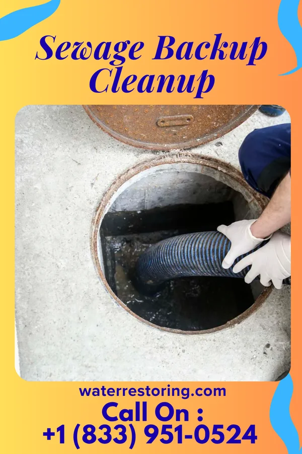 Sewage Backup Cleanup in South Valley Stream, NY