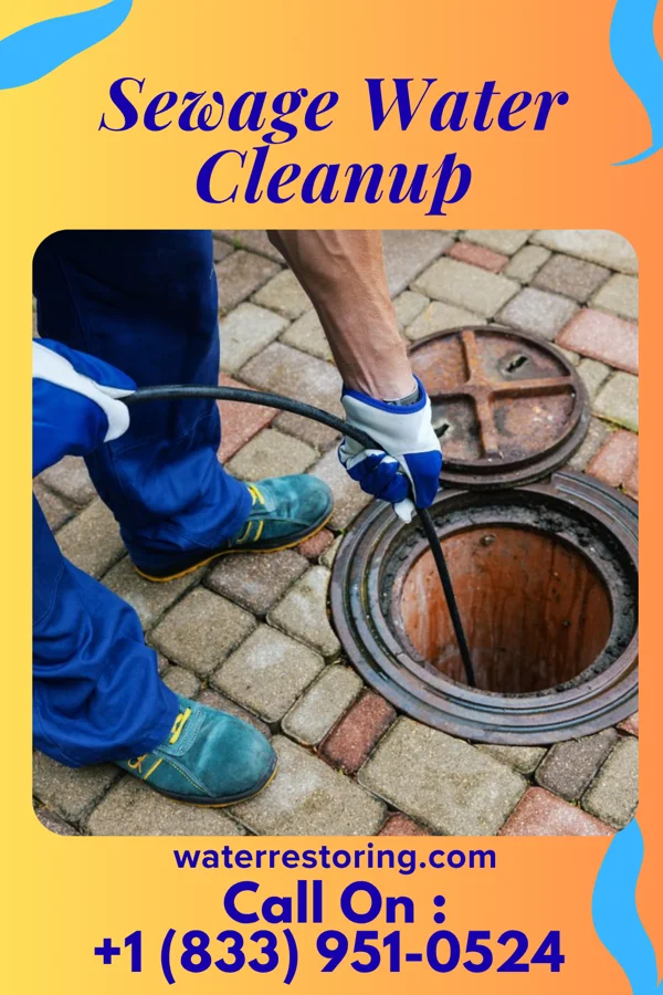 Sewage Water Cleanup in South Valley Stream, NY